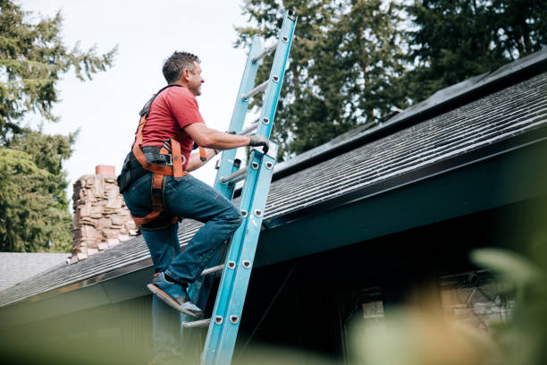 Best Sheet Metal Roofing  in Bonduel, WI